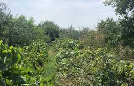 Casa individuala, 120 mp, teren 1435 mp, Ciarda Rosie