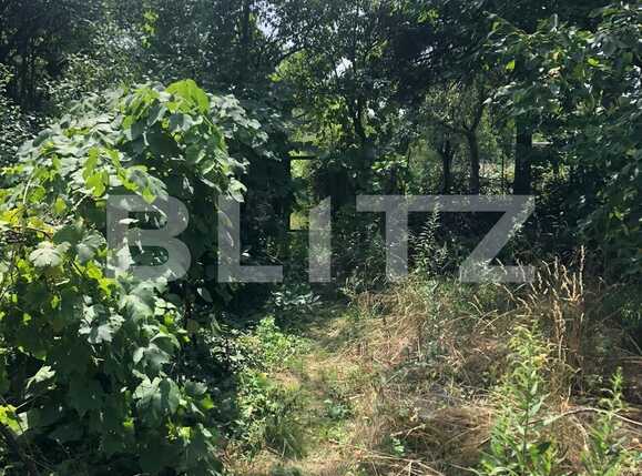 Casa de vânzare 4 camere Ciarda Rosie - 68914CV | BLITZ Timișoara | Poza5