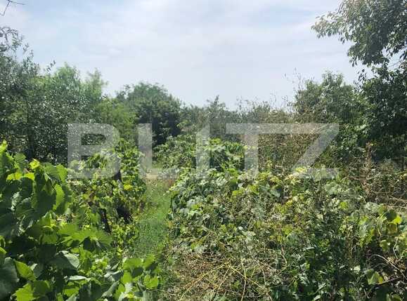 Casa de vânzare 4 camere Ciarda Rosie - 68914CV | BLITZ Timișoara | Poza8