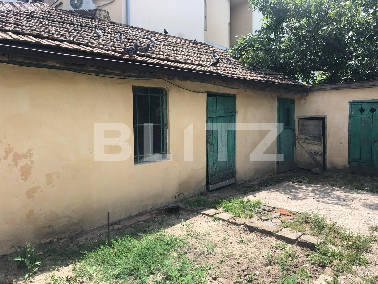 Casa de vânzare 4 camere Ciarda Rosie - 68914CV | BLITZ Timișoara | Poza6