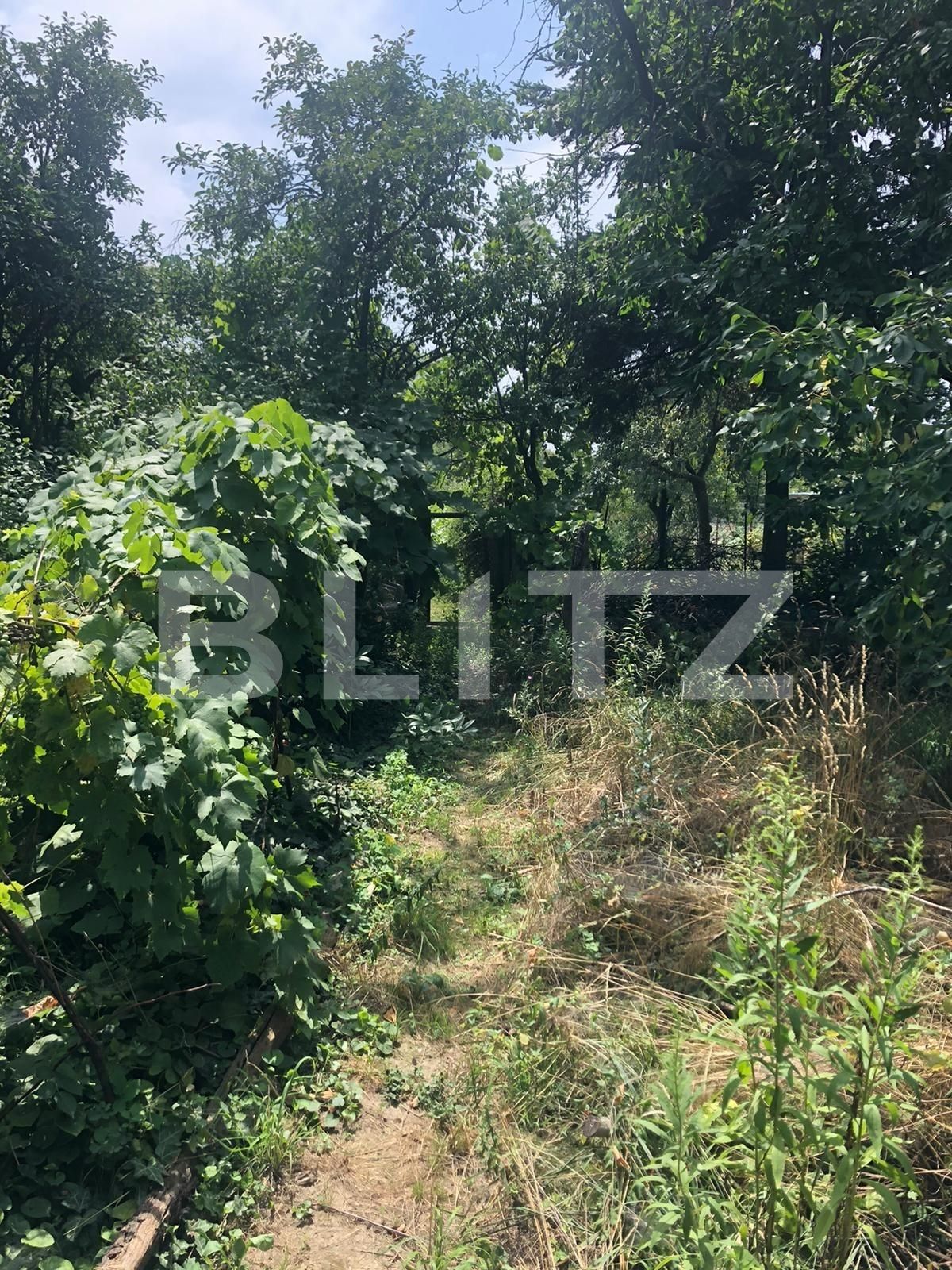 Casa de vânzare 4 camere Ciarda Rosie - 68914CV | BLITZ Timișoara | Poza5