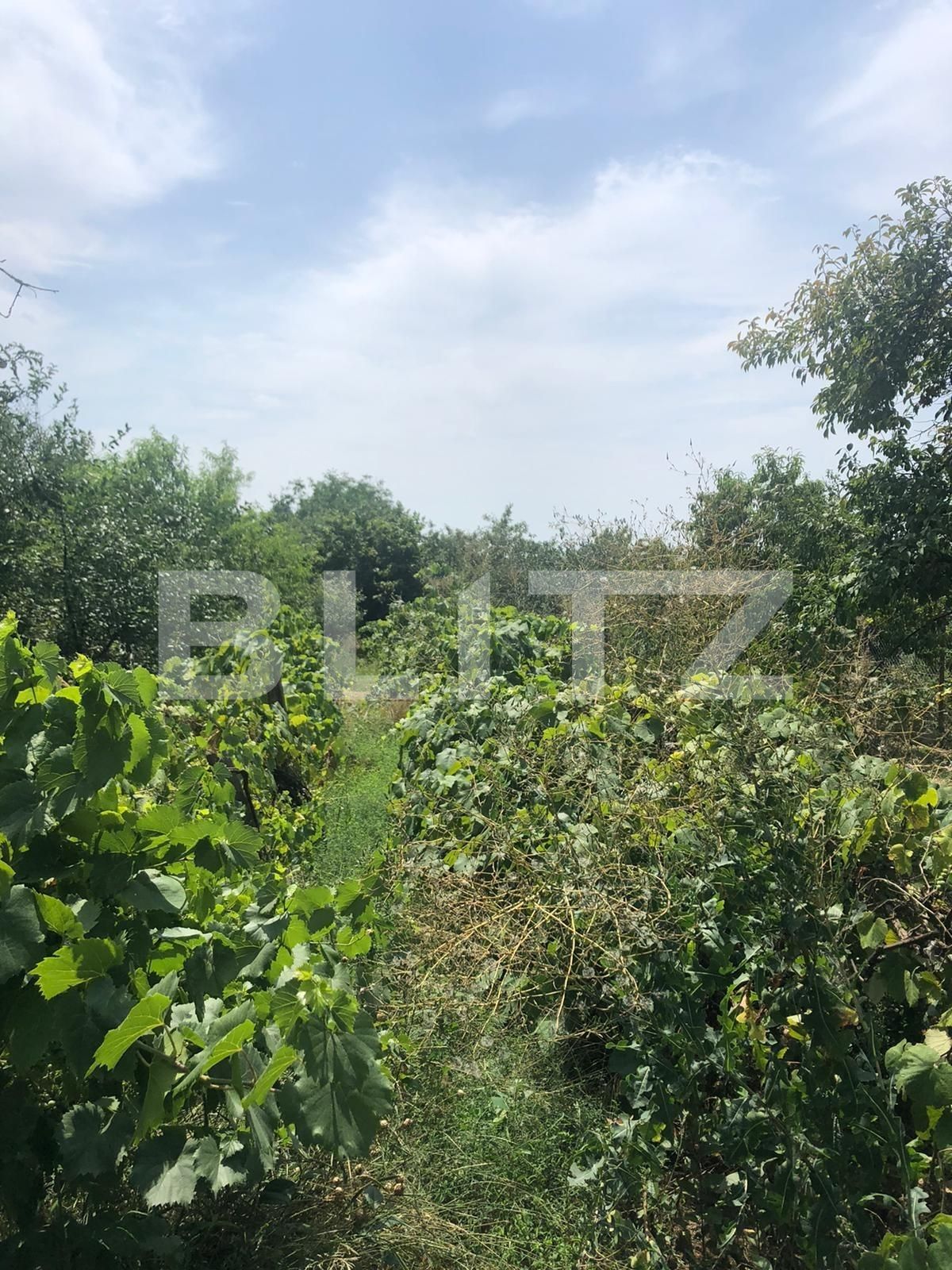 Casa de vânzare 4 camere Ciarda Rosie - 68914CV | BLITZ Timișoara | Poza8