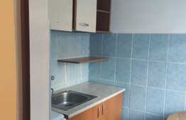 Garsoniera in zona Badea Cartan