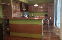 Apartament deosebit, pe doua niveluri, zona Fabric