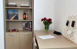 Apartament spatios, 2 camere de lux cu view, Fructus Plaza