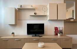 Apartament spatios, 2 camere de lux cu view, Fructus Plaza