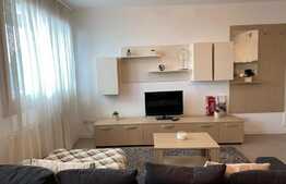 Apartament spatios, 2 camere de lux cu view, Fructus Plaza