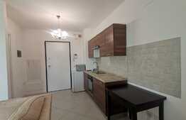 Apartament o camera, vedere panoramica, zona centrala