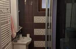 Casa individuala 140 mp utili, curte comuna, Calea Sagului