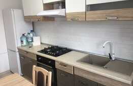 Apartament modern, 2 camere, 54 mp, zona Calea Buziasului