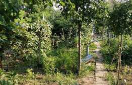 Casa Mosnita Noua, 161 mp utili teren 714 mp