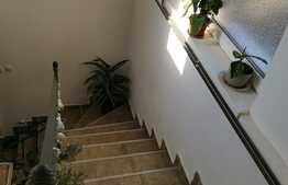 Casa Mosnita Noua, 161 mp utili teren 714 mp