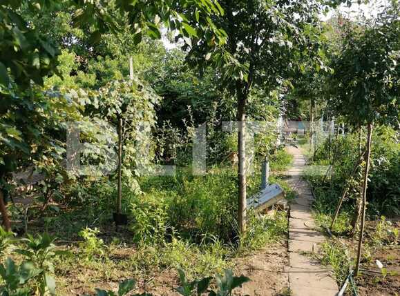 Casa de vânzare 5 camere Mosnita Noua - 69170CV | BLITZ Timișoara | Poza5