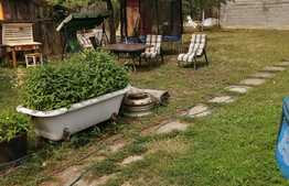 Casa veche cu teren, toate utilitatile, Elisabetin