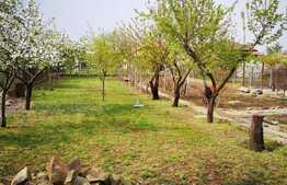 Teren in zona centrala Dumbravita - toate utilitatile - Ideal proiect Duplex