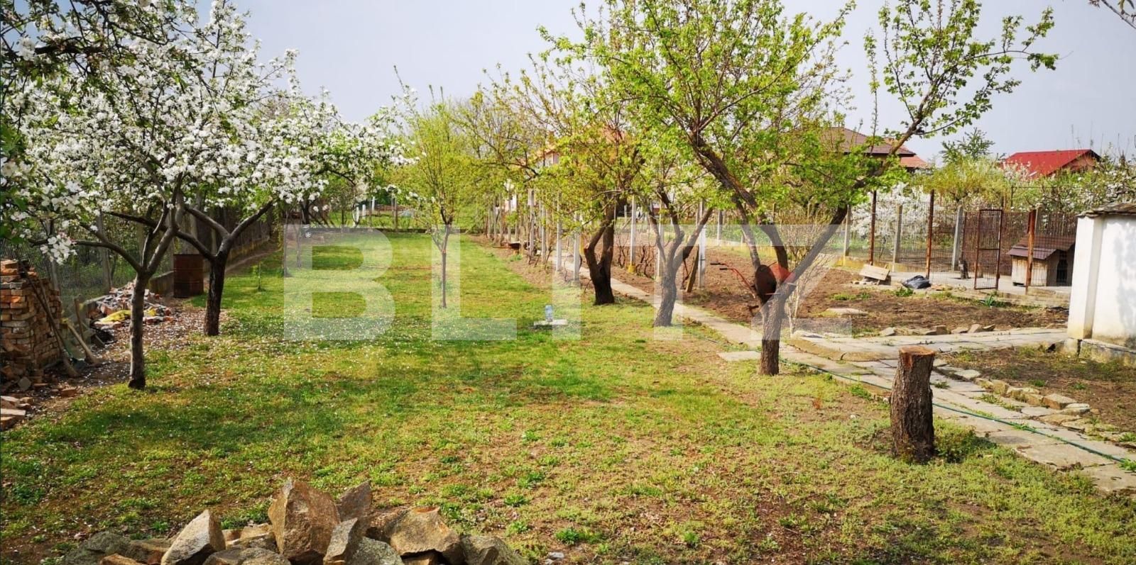 Teren de vânzare Dumbravita - 69427TV | BLITZ Timișoara | Poza1