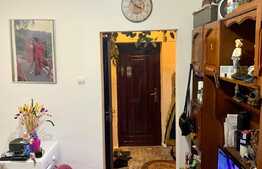 Apartament de 2 camere cu o suprafata de 35 de mp, parter, zona AEM