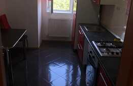 Apartament cu 1 camera, 43 mp, zona Sagului