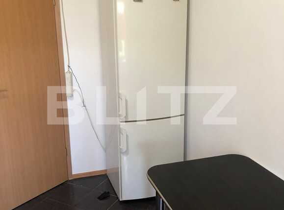 Garsonieră de închiriat Sagului - 69489AI | BLITZ Timișoara | Poza5