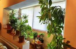 Apartament 2 camere, 54 mp utili, etaj intermediar ,Zona Soarelui