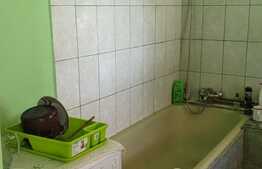 Casa cu gradina generoasa, 83mp utili, 1441 mp teren, Mosnita Noua