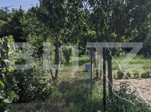 Casa de vânzare 2 camere Mosnita Noua - 69503CV | BLITZ Timișoara | Poza2