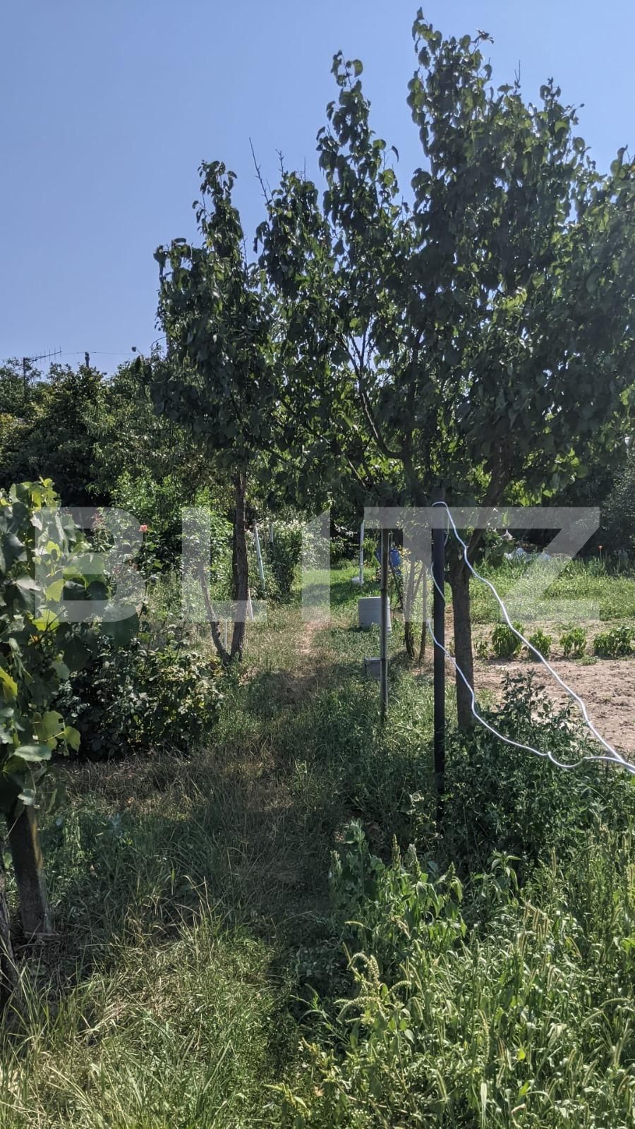 Casa de vânzare 2 camere Mosnita Noua - 69503CV | BLITZ Timișoara | Poza2