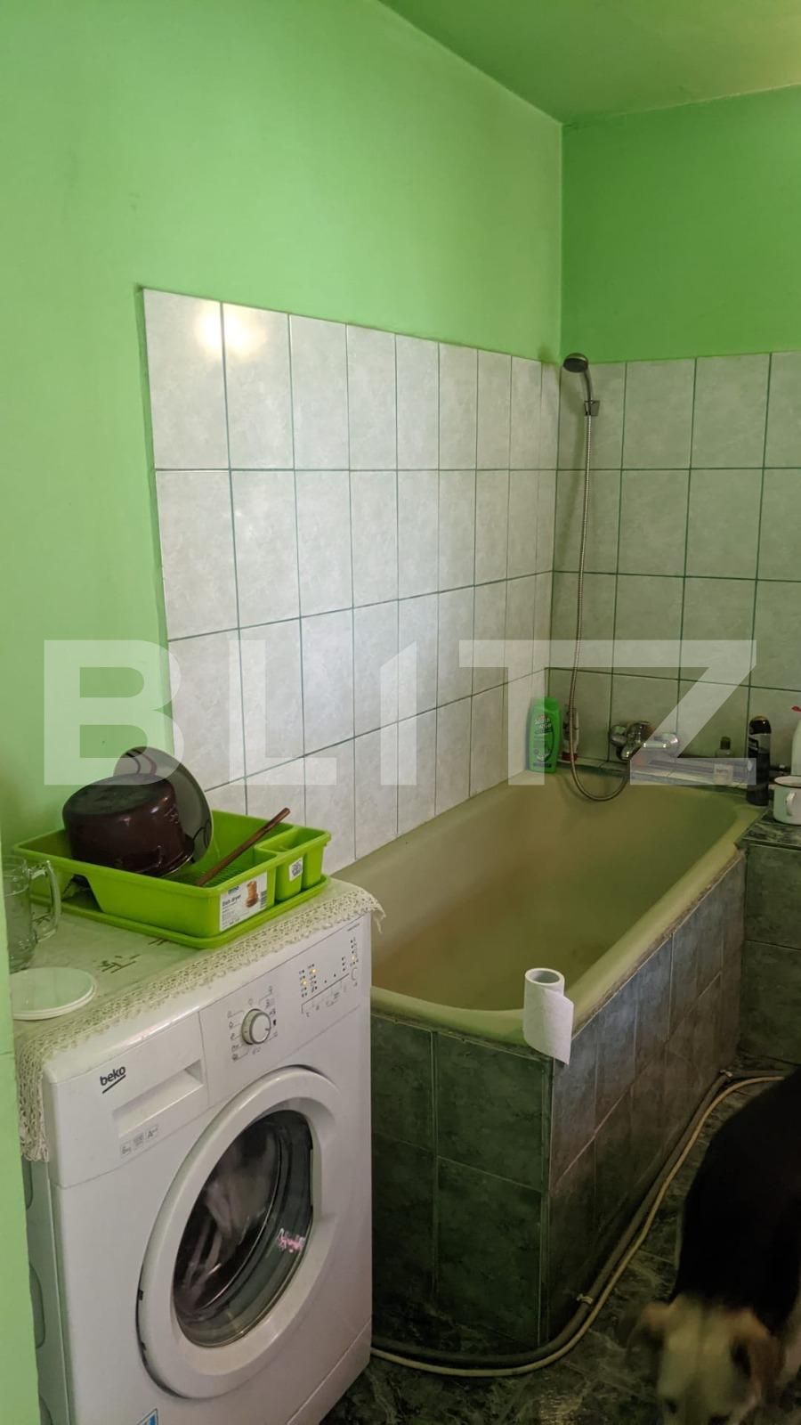 Casa de vânzare 2 camere Mosnita Noua - 69503CV | BLITZ Timișoara | Poza6