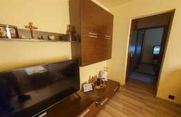 Apartament de 3 camere, 66 mp, zona Lipovei, etaj intermediar
