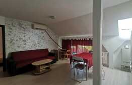 Apartament 2 camere, pet friendly, zona Liviu Rebreanu-Sagului