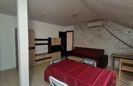 Apartament 2 camere, pet friendly, zona Liviu Rebreanu-Sagului