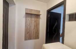 Apartament 2 camere, pet friendly, zona Liviu Rebreanu-Sagului