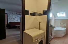 Apartament 2 camere, pet friendly, zona Liviu Rebreanu-Sagului
