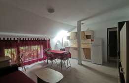 Apartament 2 camere, pet friendly, zona Liviu Rebreanu-Sagului