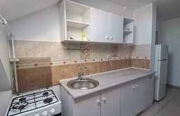 Apartament 2 camere, pet friendly, zona Liviu Rebreanu-Sagului
