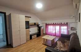 Apartament 2 camere, pet friendly, zona Liviu Rebreanu-Sagului