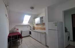 Apartament 2 camere, pet friendly, zona Liviu Rebreanu-Sagului