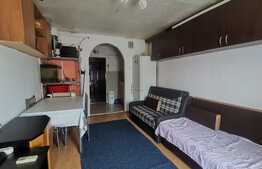 Garsoniera, 22 mp, Calea Buziasului