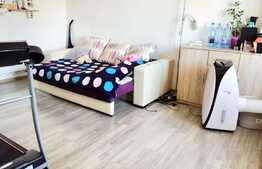 Oportunitate investitie! Apartament 1 camera, 30 mp, Zona Lunei