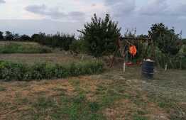 Casa individuala 78 mp, 1439 mp teren, in Com. Livezile!