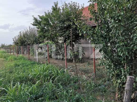 Casa de vânzare 3 camere Exterior Sud - 69717CV | BLITZ Timișoara | Poza5