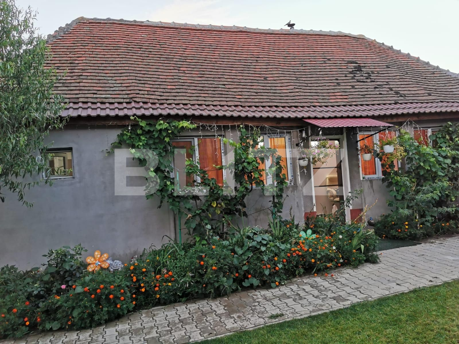 Casa de vânzare 3 camere Exterior Sud - 69717CV | BLITZ Timișoara | Poza1