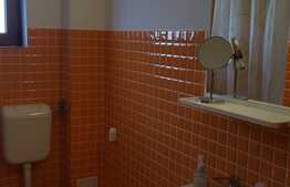 Casa individuala, 240 mp utili, 600 mp teren, Dumbravita Cora