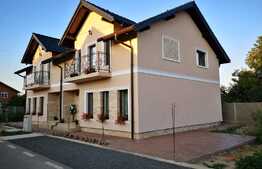 1/2 Duplex cu garaj separat de casa - Moşniţa Nouă 