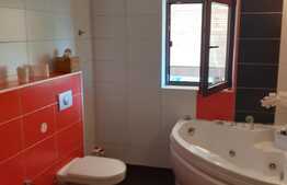 Vilă deosebită, 280 mp, teren 2200 mp în Giarmata Vii!