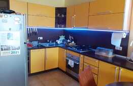 Vilă deosebită, 280 mp, teren 2200 mp în Giarmata Vii!