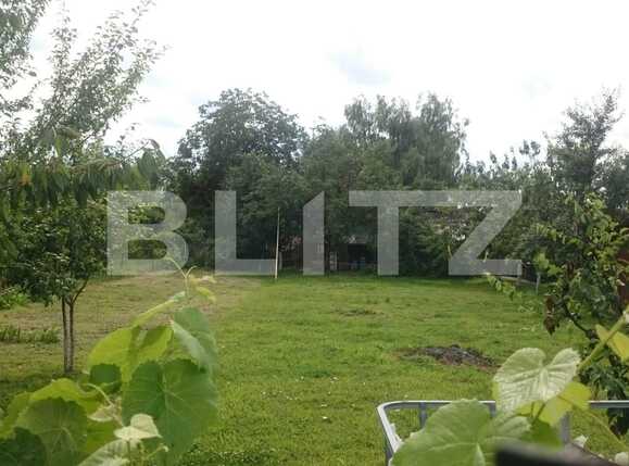 Casa de vânzare 4 camere  - 69901CV | BLITZ Timișoara | Poza9