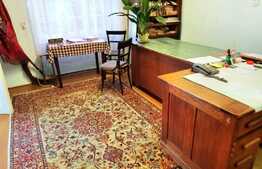 Garsoniera cu gradina, 34 mp utili, zona Balcescu