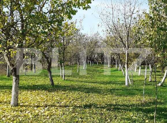 Casa de vânzare 1 camera Exterior Nord - 69940CV | BLITZ Timișoara | Poza2