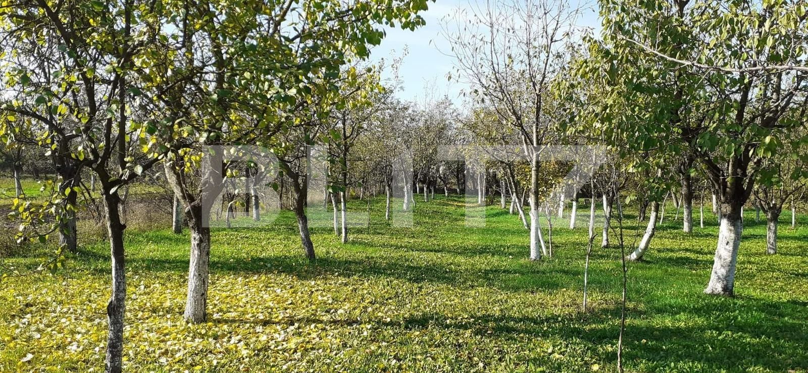 Casa de vânzare 1 camera Exterior Nord - 69940CV | BLITZ Timișoara | Poza2